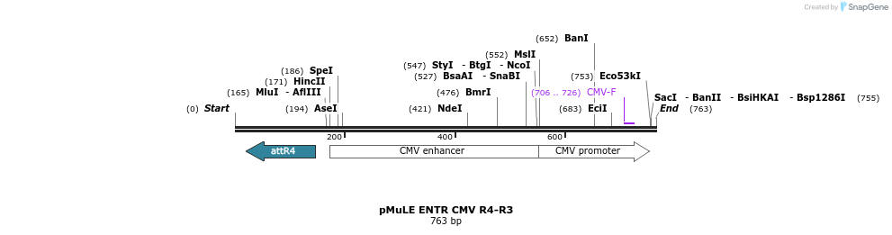104367_map