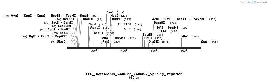 104371_map