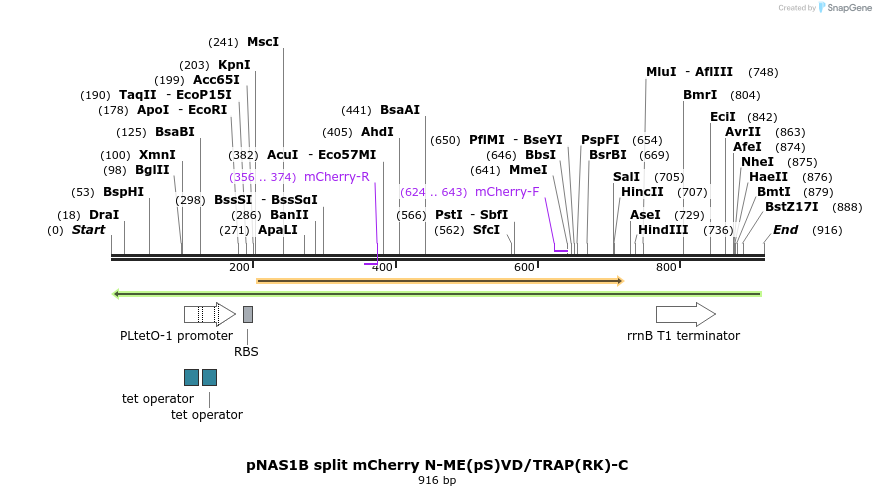104399_map