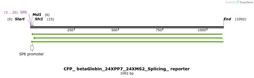 104404_map