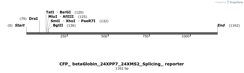 104407_map