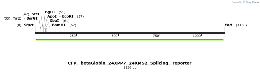 104408_map