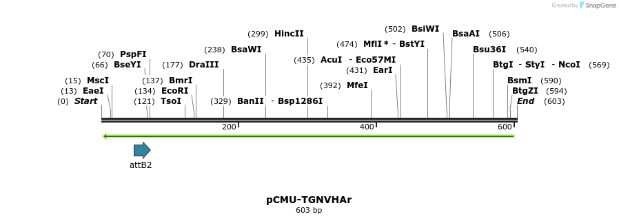 104409_map