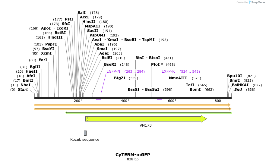 104412_map