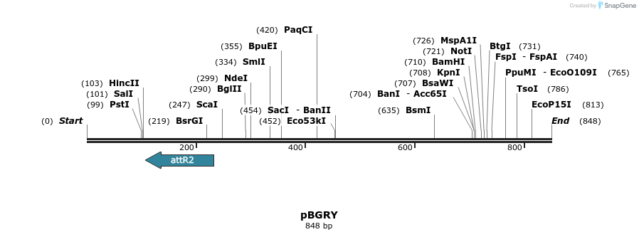 104414_map