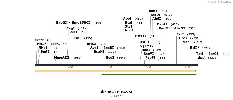 104425_map
