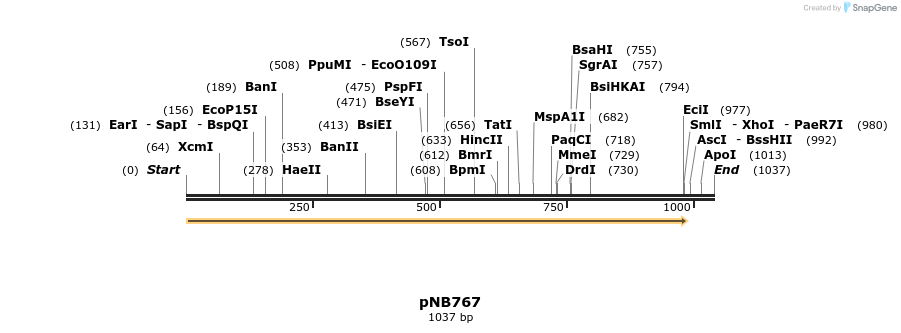104428_map