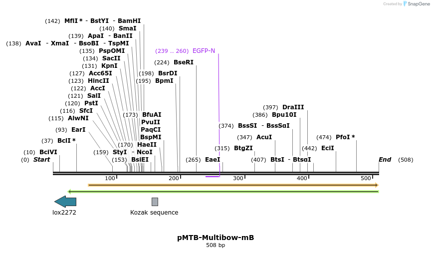 104434_map