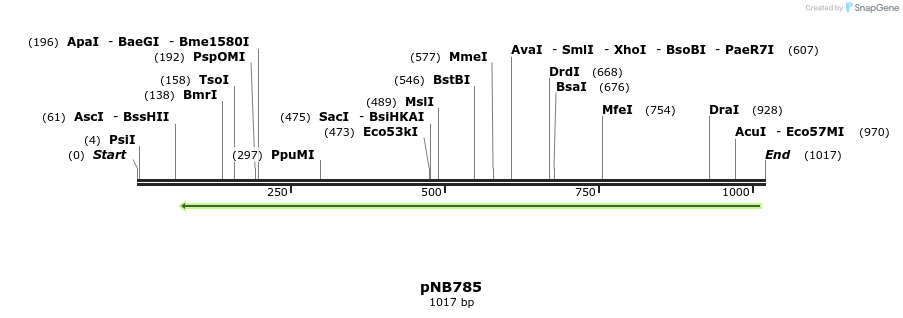 104436_map
