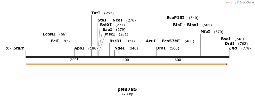 104437_map