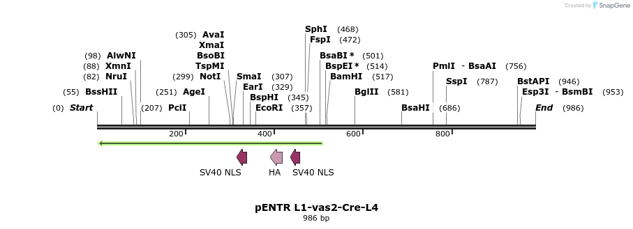 104469_map