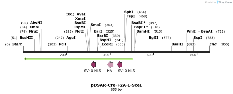 104470_map