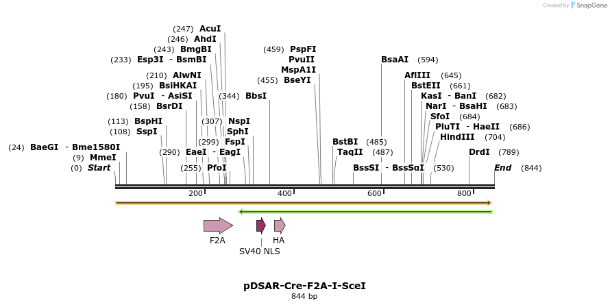 104471_map