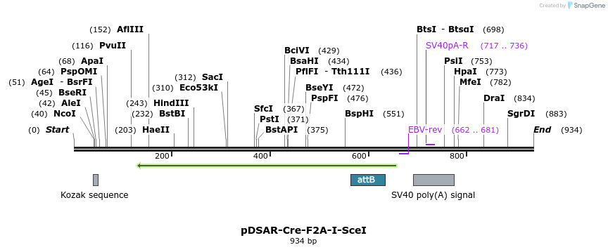 104473_map