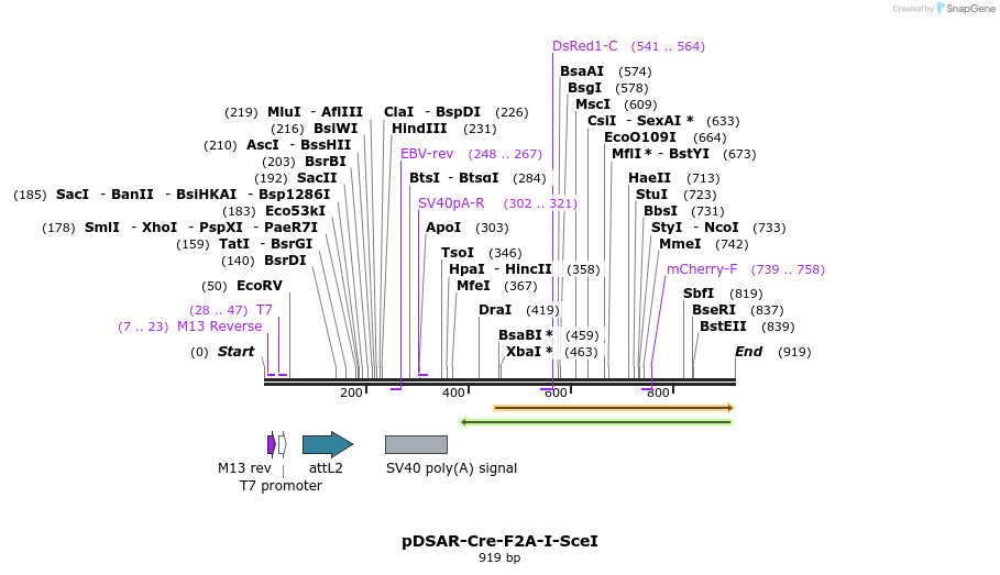 104474_map