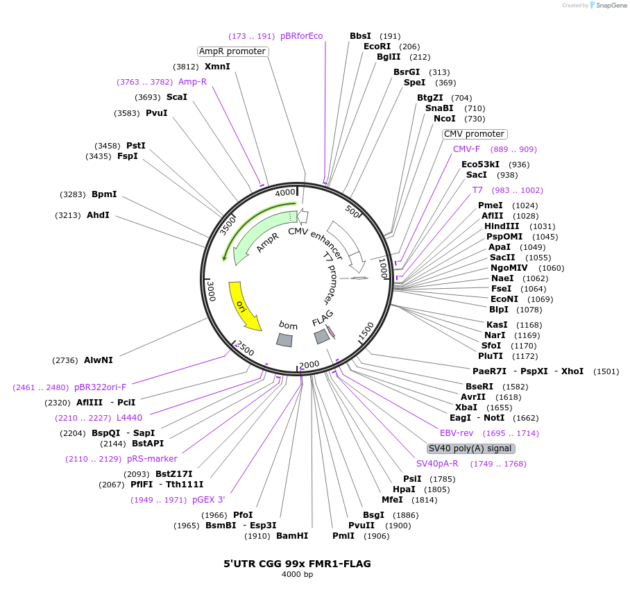 104490_map