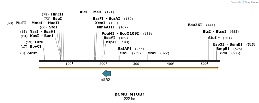 104493_map