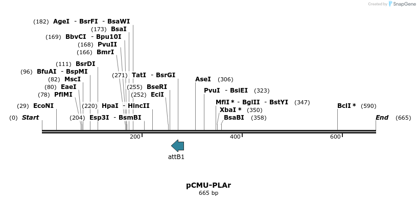 104496_map