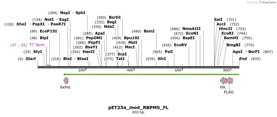 104525_map