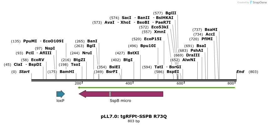 104531_map