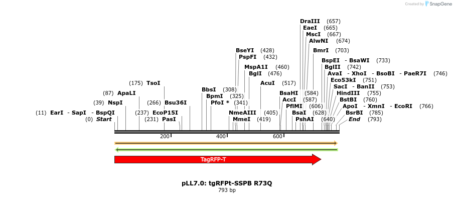 104533_map