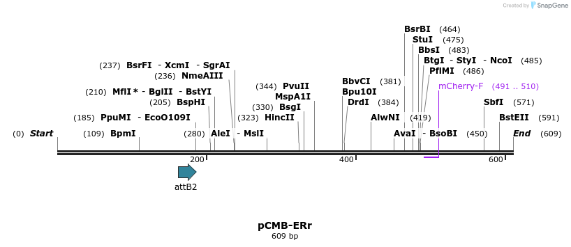 104547_map