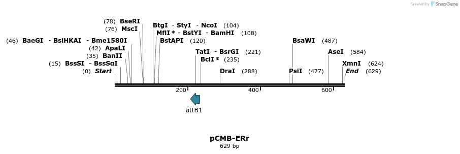 104548_map