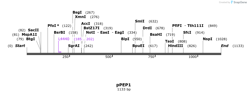 104558_map