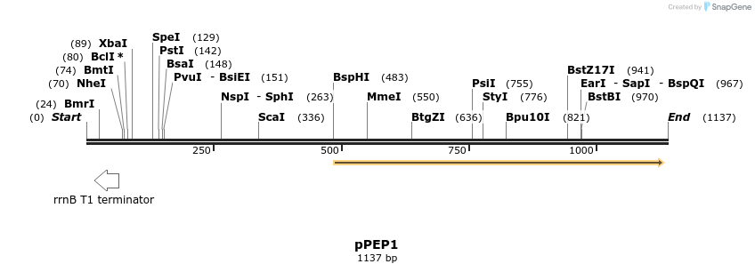 104562_map