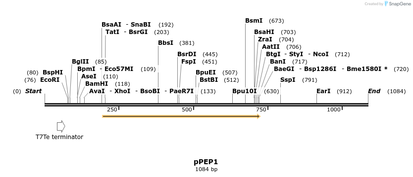 104563_map