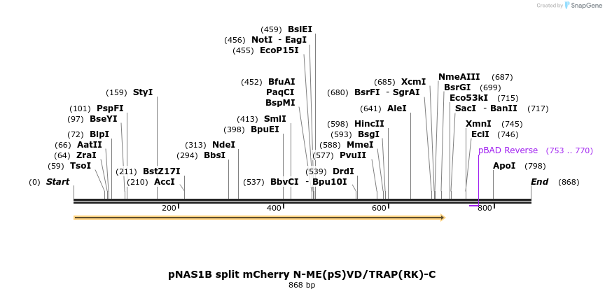 104564_map