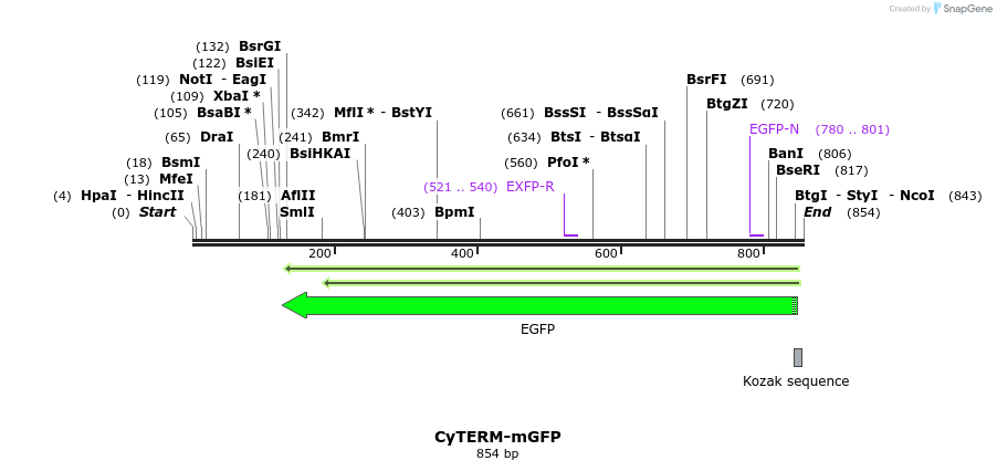 104567_map