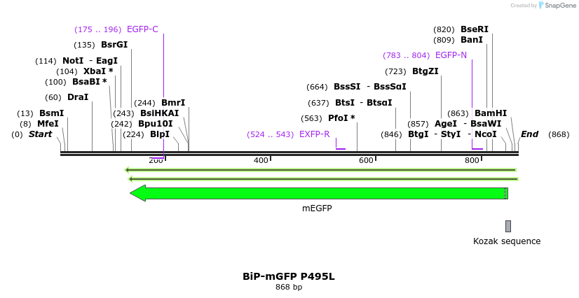 104579_map