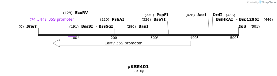 104581_map