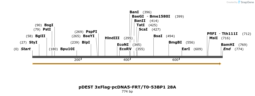 104589_map