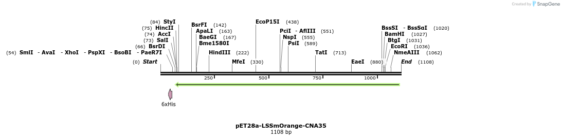 104591_map