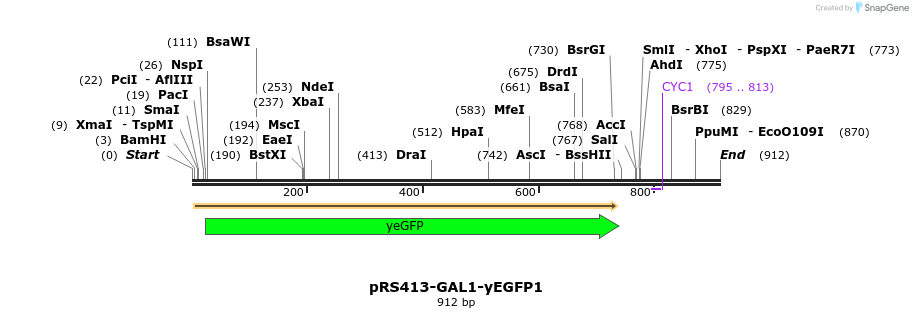 104628_map