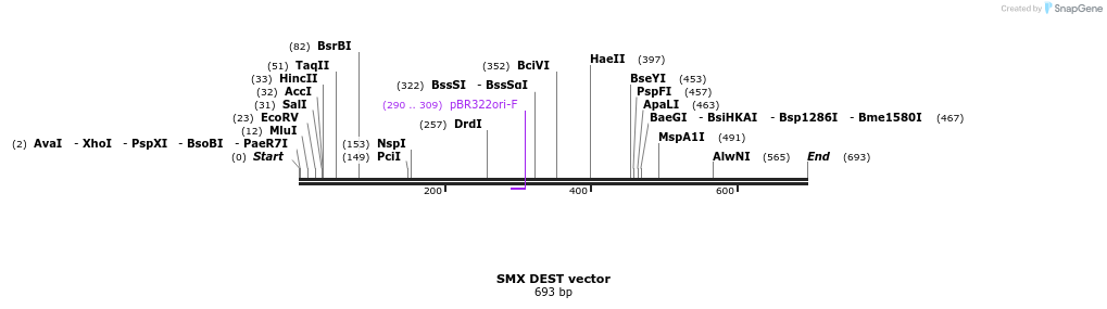 104631_map