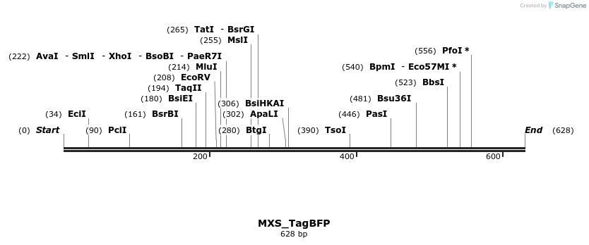 104632_map