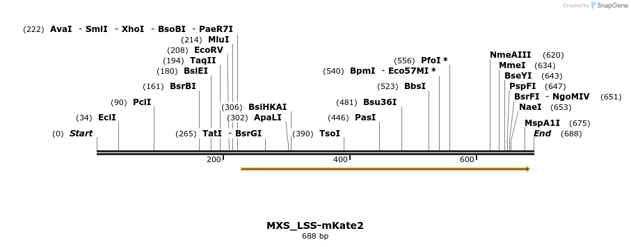 104638_map