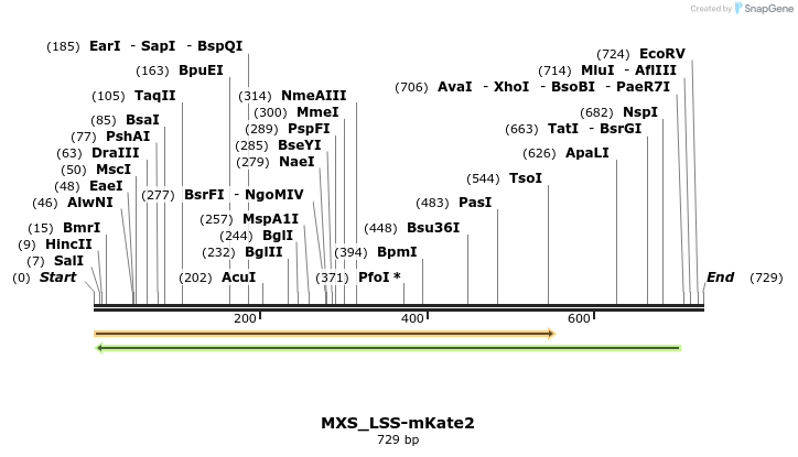 104641_map