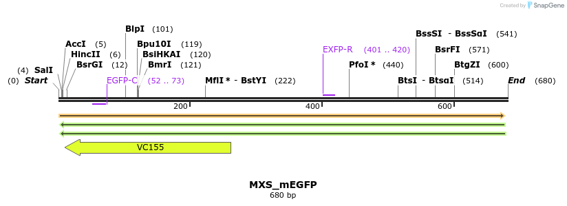 104645_map