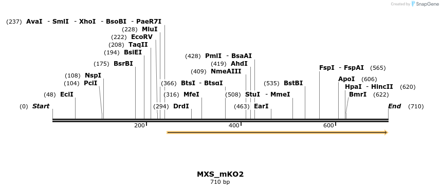 104652_map