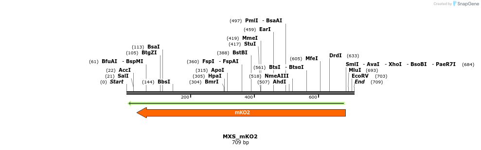 104653_map