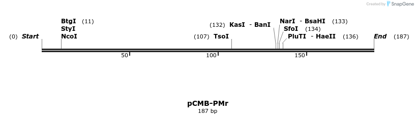 104654_map