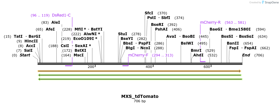 104656_map