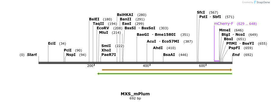 104660_map