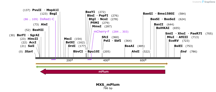 104661_map