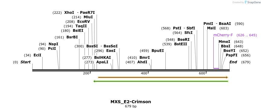 104662_map