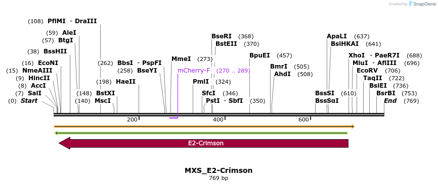 104663_map